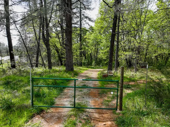 Rough, Grass Valley, CA 95945