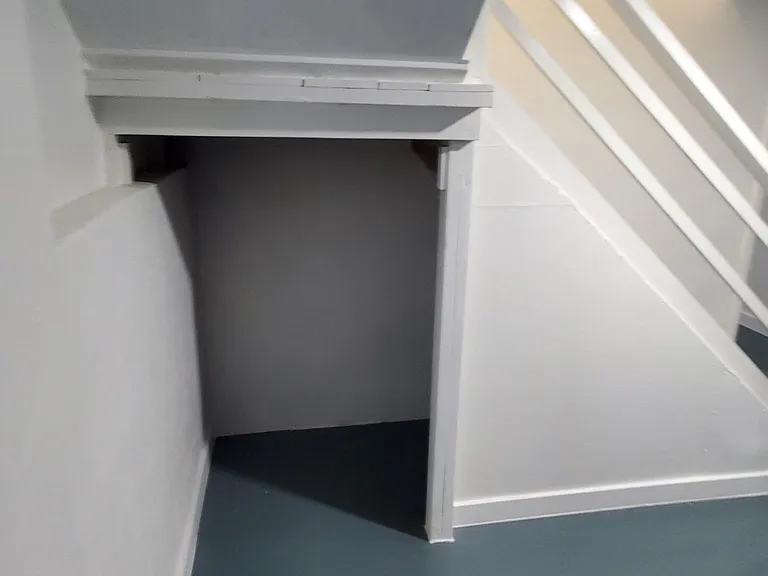 Basement Under Stairs Storage