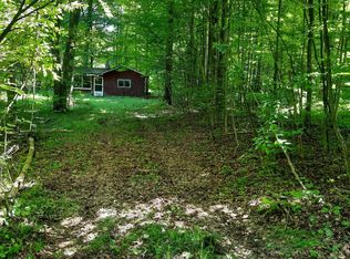 6684 N Coe Rd, Luther, MI 49656