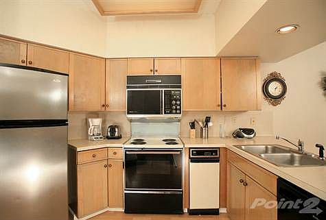 3rd image of 401 W Lincoln St APT A202