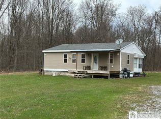 848 Porter Rd, Franklinville, NY 14737