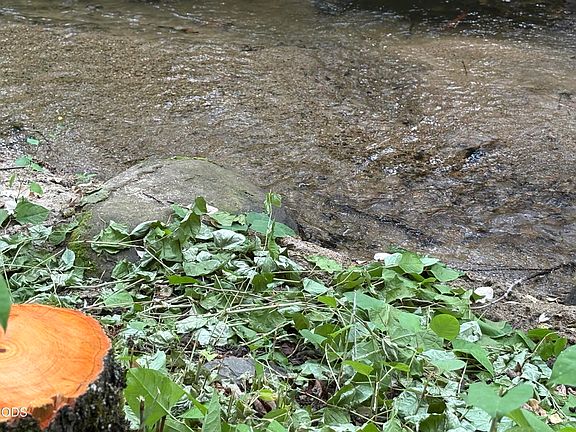 3rd image of 1600 Neil Creek Rd