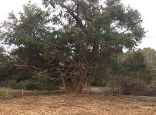 Awendaw Lakes Blvd, Awendaw, SC 29429