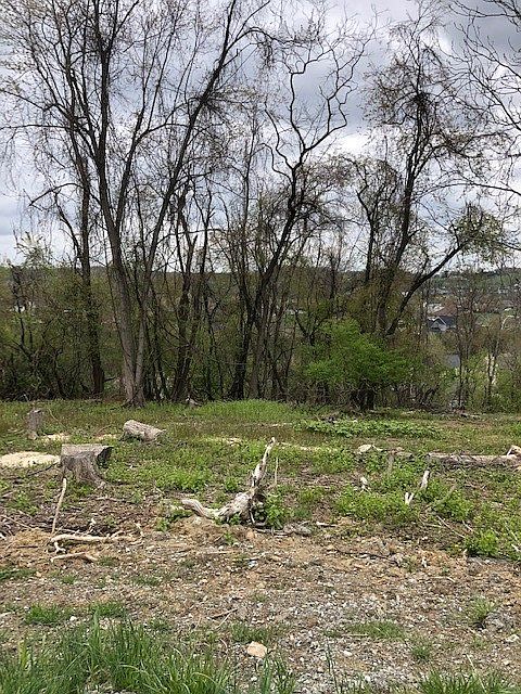 1st image of 111 Ridge Rd