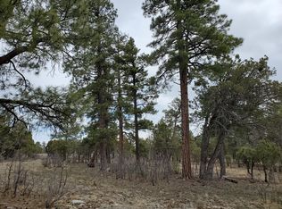 2869 Roundup Ln, Happy Jack, AZ 86024