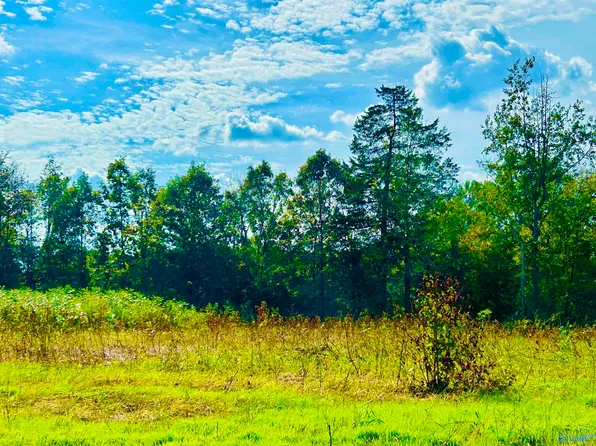 Old Vaughn Bridge Rd, Hartselle, AL 35640