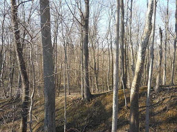 3rd image of 662 W River Dr