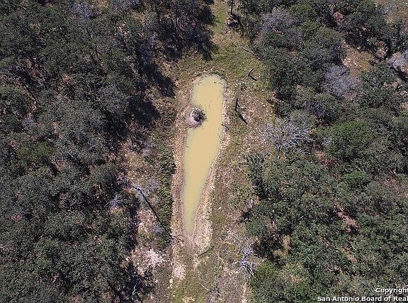 5th image of 1662 Polly Ln