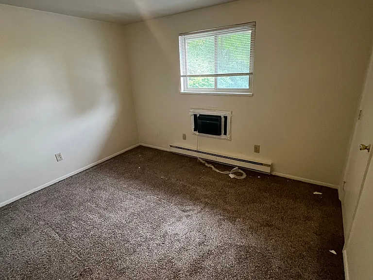 Colonial Trace — Photo 81