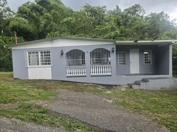 Commons Pellejas 44a Calle #1, Adjuntas, PR 00601