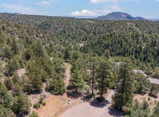 285 Logging Trail Rd, Durango, CO 81303