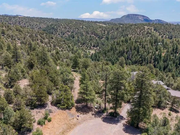 285 Logging Trail Road, Durango, CO 81303
