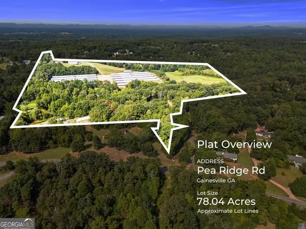 0 Pea Ridge Rd, Gainesville, GA 30506