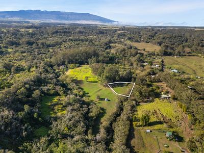 44-3239 Hoo Kahua Rd, Honokaa, HI, 96727