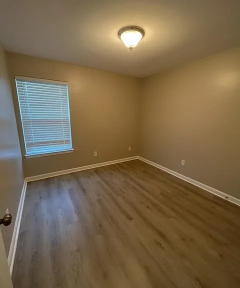 317 Springwood Cir — Photo 9