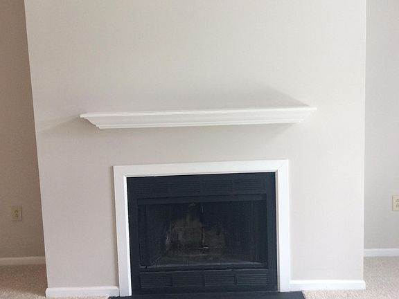 Wood burning fireplace