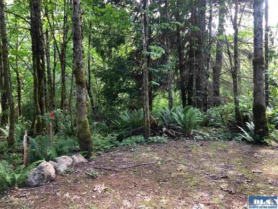 595 Brown Rd, Port Angeles, WA, 98362