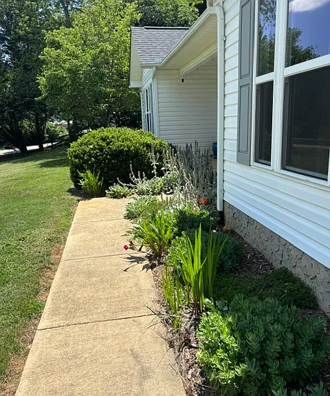 142 Reems Creek Rd — Photo 39