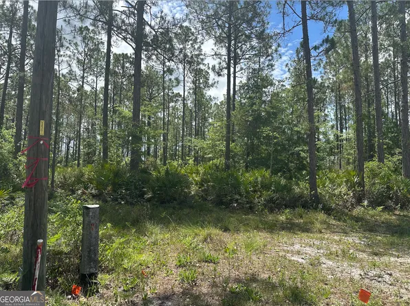 57 Lakeview Dr, Folkston, GA 31537