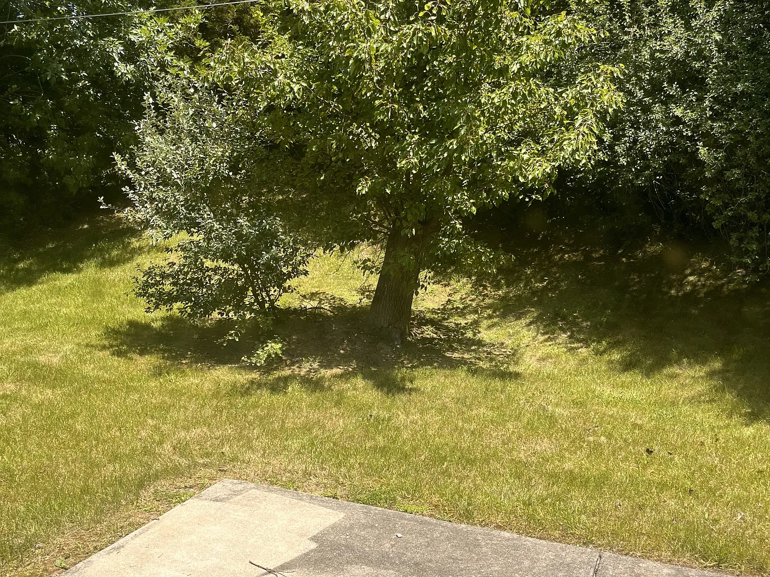 5626 Elgin Roof Drive — Photo 1