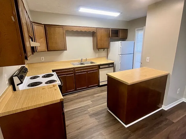 407 Lugenia Dr — Photo 3