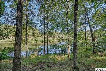 4th image of 5236 Woodland Forrest Dr