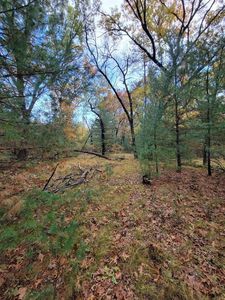 L55 19th Creek #55, Arkdale, WI, 54613