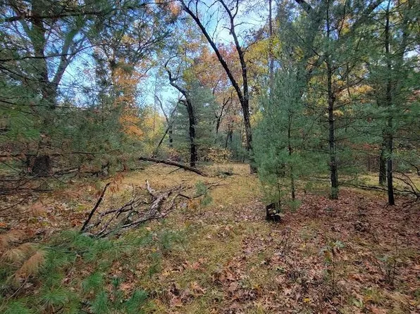 L55 19th Creek #55, Arkdale, WI 54613