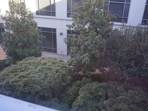 Window view to quiet court yard