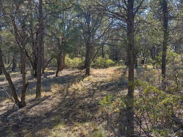 89 Mackerel Dr #12, Timberon, NM 88350