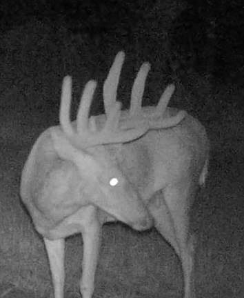 2nd image of 890 South Independence Road