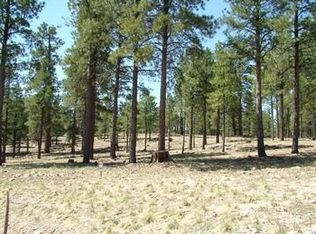 2333 E Del Rae Dr, Flagstaff, AZ 86005