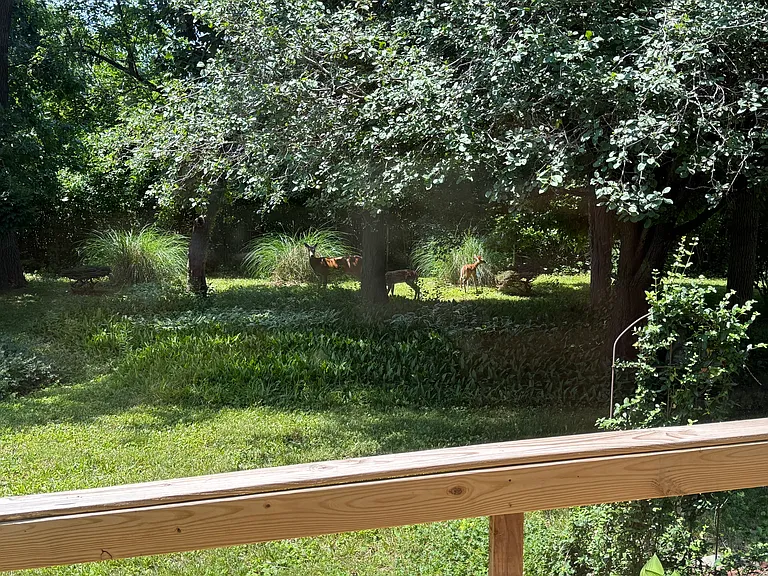 4765 Carter Pl — Photo 22