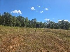 4th image of 0 Dk Jones Rd