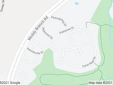 Palmtree Dr — Photo 23