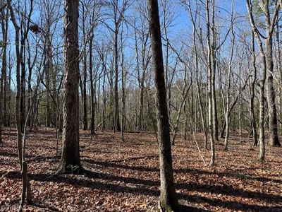 0 Thayer Rd, Troy, NC, 27371