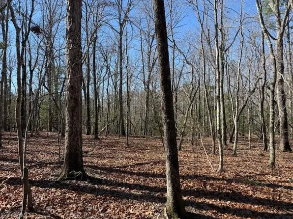 0 Thayer Rd, Troy, NC 27371