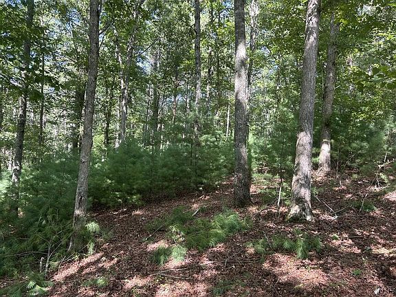 2nd image of LOT 62 Harmony Way