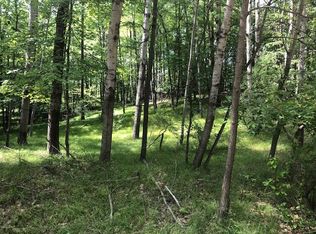 11992 Cheyenne Wells Trl, Stanwood, MI