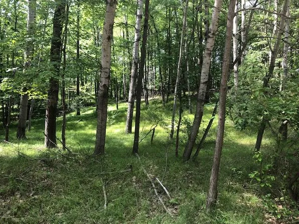 11992 Cheyenne Wells Trl, Stanwood, MI 49346