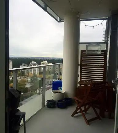 3rd image of 6461 Telford Ave #2505