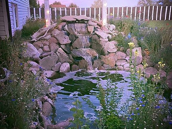 Pond abd Wildflower Feature