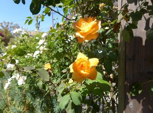 165 N 14th St, San Jose, CA 95112