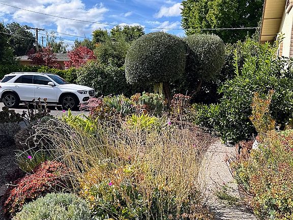 3rd image of 2441 Alameda De Las Pulgas