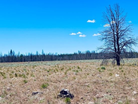 0 White Birch Ln Lot 4, Bly, OR 97622