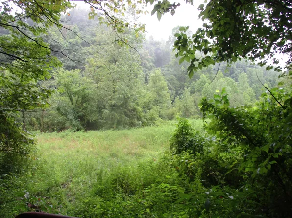 123 Limeville Holw, South Shore, KY 41175