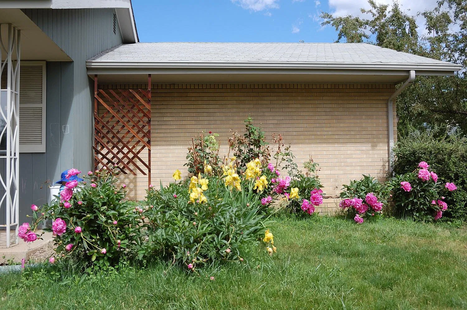 3 bed, 2.5 bath, 2544 sqft, $2,950 — Photo 2