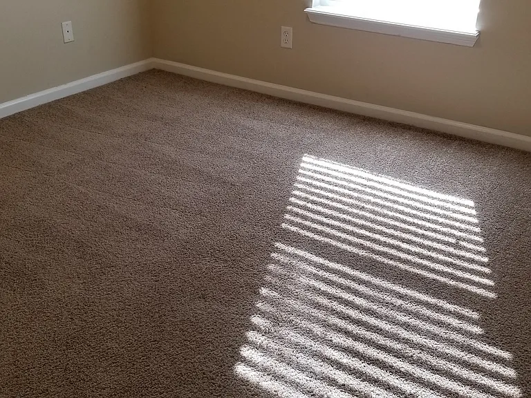 1108 Hidden Cove Cir S — Photo 10
