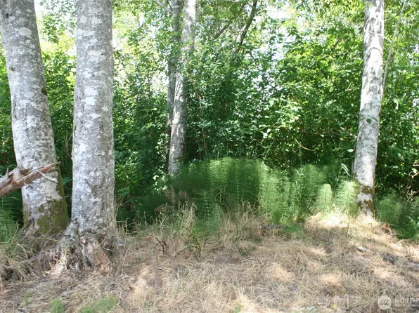 0 Farrell Street, Aberdeen, WA 98520