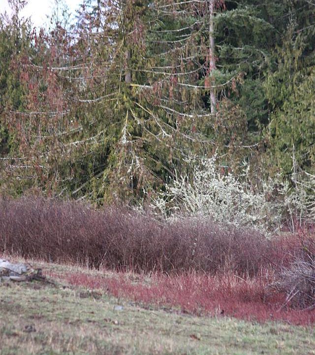 2nd image of 14 Sisters Ln